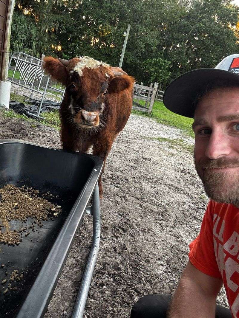 Fiona, Tom, and the Story Behind the Herd