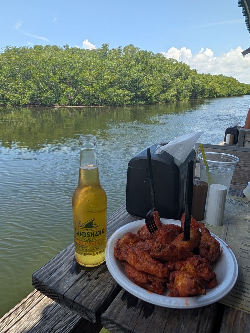 Fish, Manatees, and a Front-Row Canal Seat