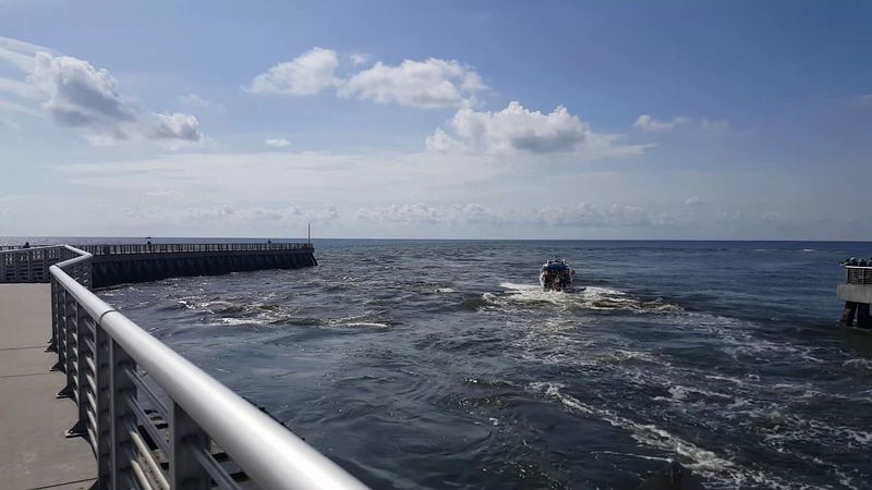 Fishing From Pier, Surf, and River Side