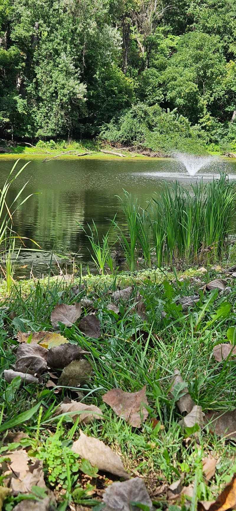 Fishing is possible, but manage expectations Fishing is possible, but manage expectations