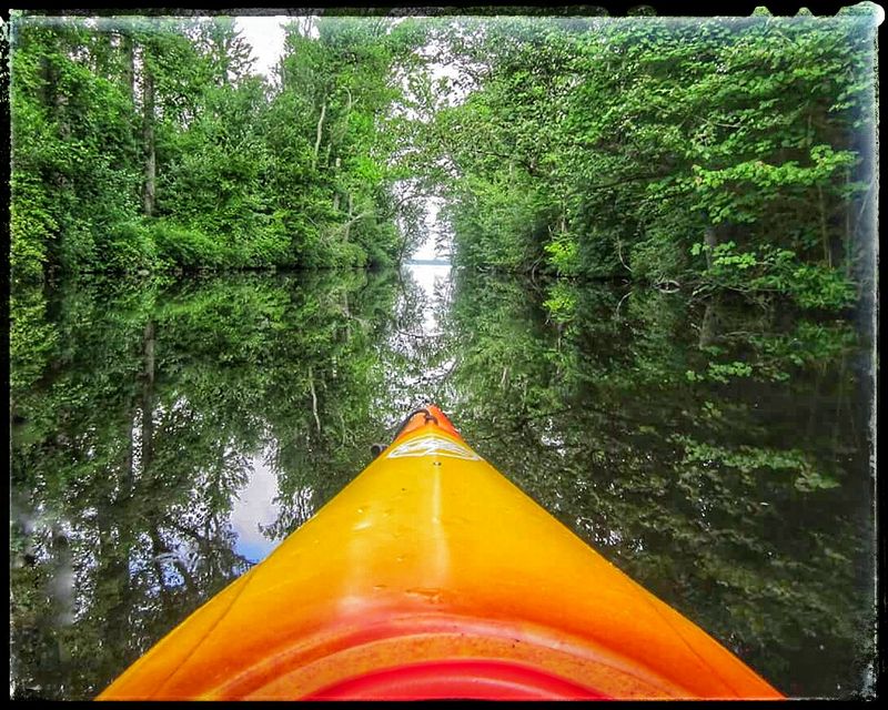 Fishing the Freshwater Shallows