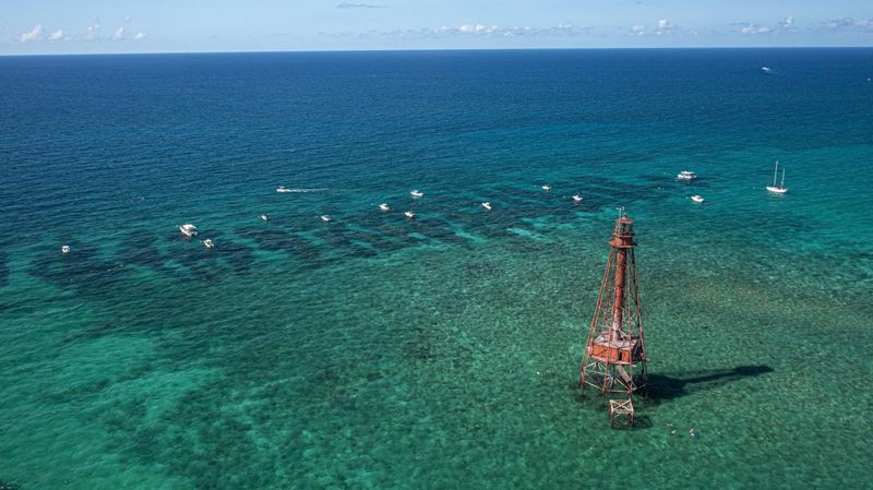Florida’s reef claim needs a precise qualifier