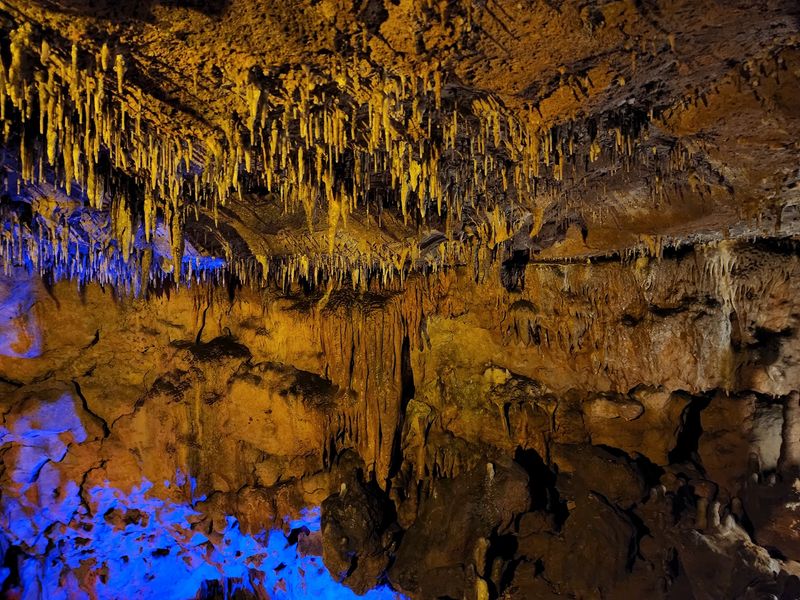 Fossils, Shark Teeth, and Ancient Seas