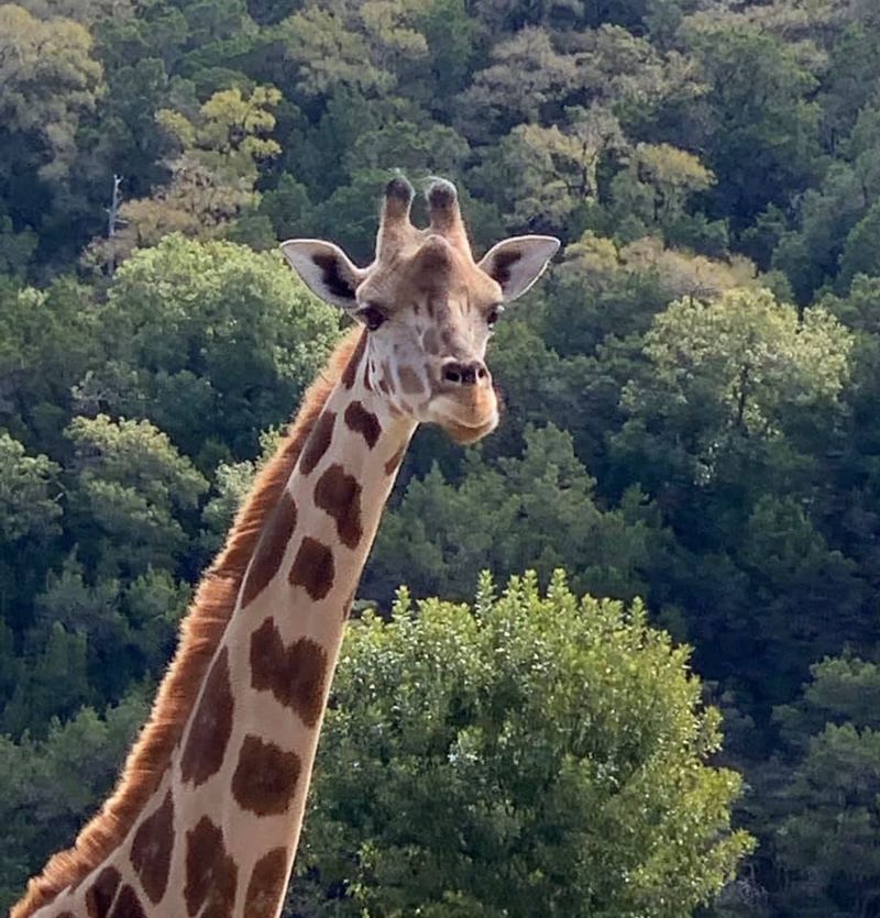 Free Nature Is the Best Entertainment Free Nature Is the Best Entertainment