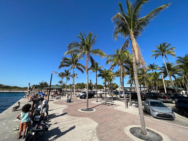 Free Parking and the Weekend Rush