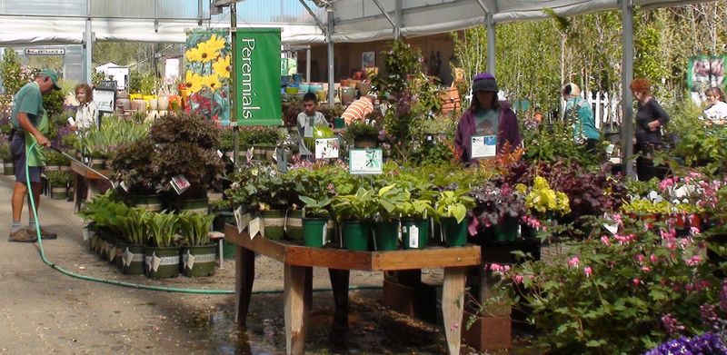 Free Saturday Classes That Turn Beginners Into Growers Free Saturday Classes That Turn Beginners Into Growers