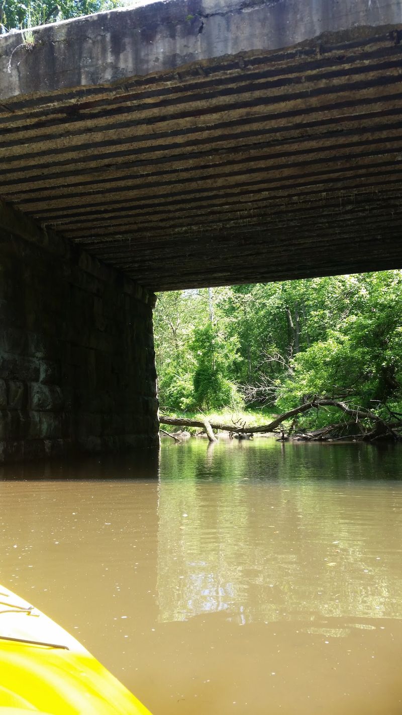 From Booming Mill Village to Silent Woods