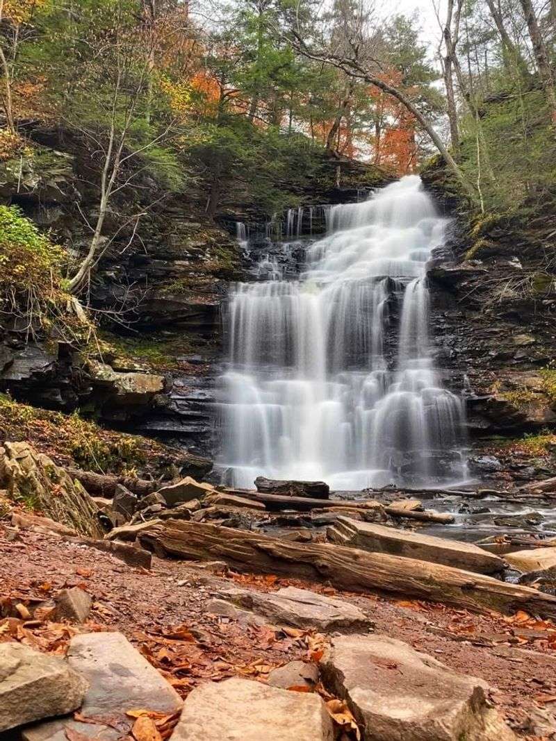 Ganoga Falls Steals the Show
