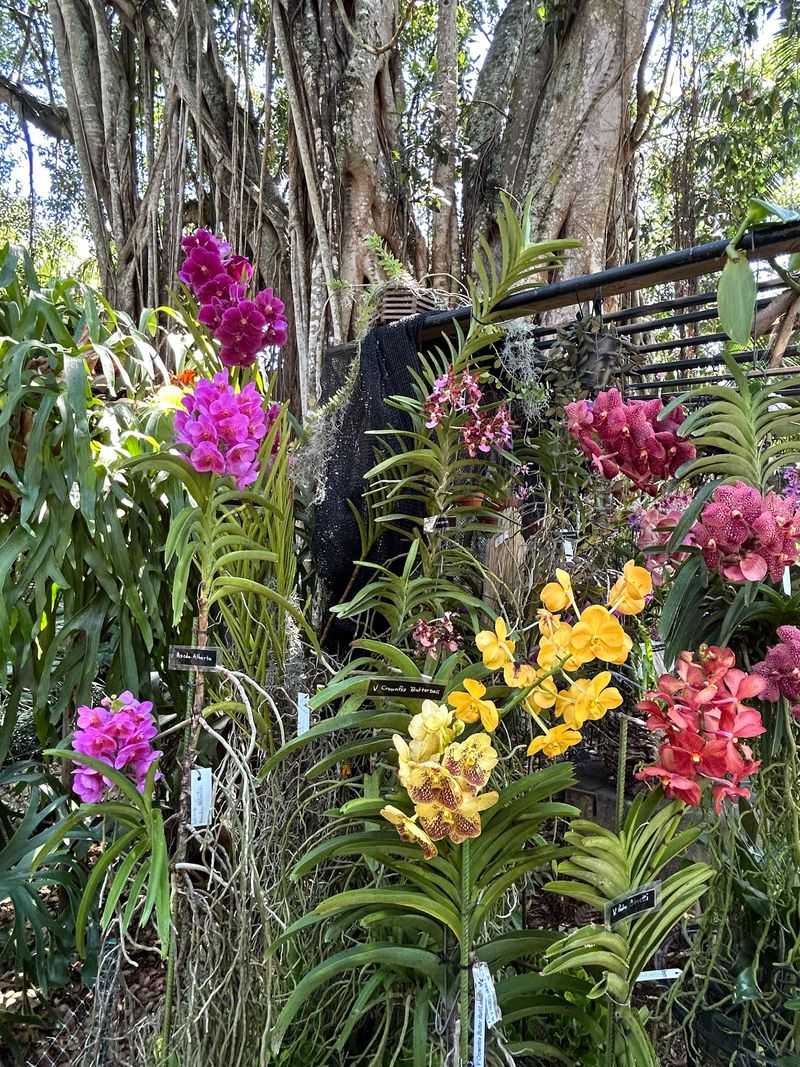 Gardens Bursting With Rare Plants Gardens Bursting With Rare Plants