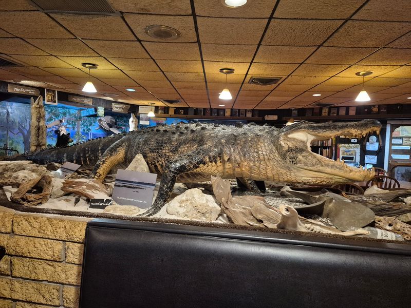 Gator on the Menu Gator on the Menu