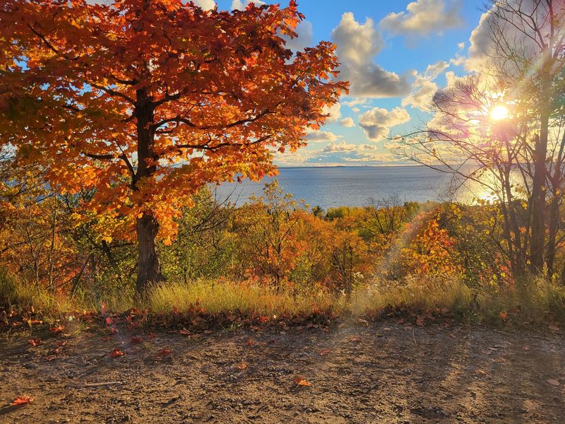 Glimpses of Lake Michigan From the Bluffs
