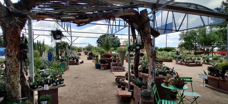 Grounds That Feel More Like a Garden Park