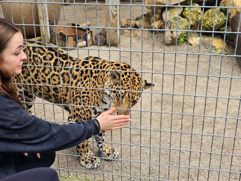 Guides Who Know Their Animals