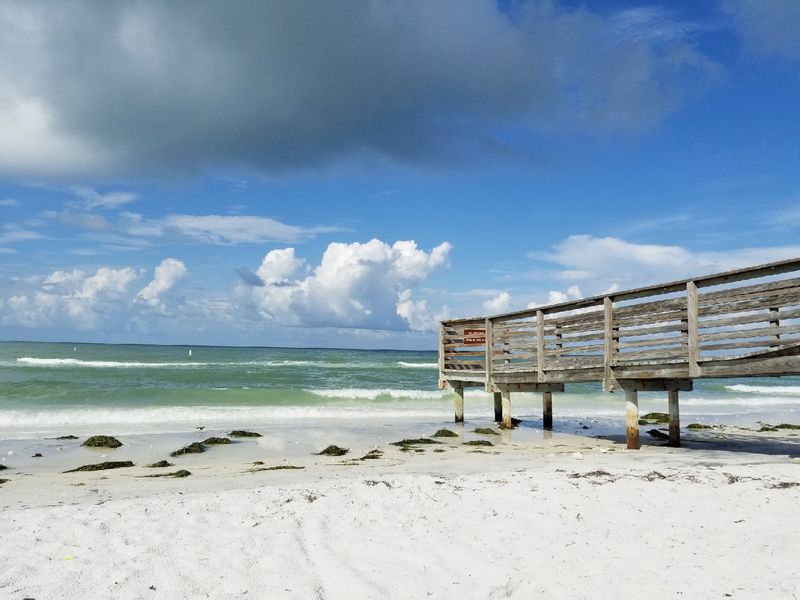 Honeymoon Island State Park, Dunedin, Florida Honeymoon Island State Park, Dunedin, Florida