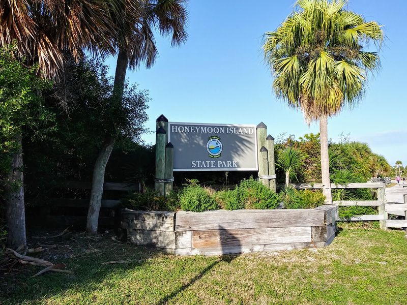Honeymoon Island State Park