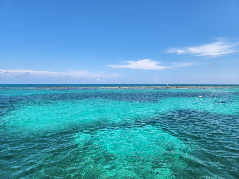 John Pennekamp Coral Reef State Park, Key Largo John Pennekamp Coral Reef State Park, Key Largo