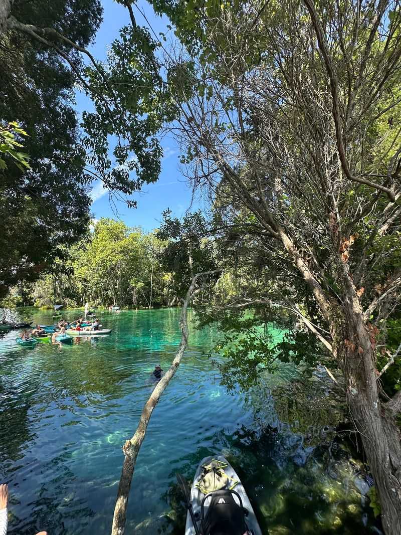 Kayaking, Paddleboarding, and Clear-Bottom Eco Tours