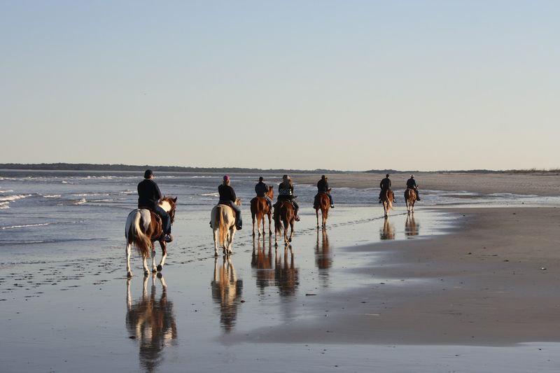 Kelly Seahorse Ranch, Amelia Island, Florida Kelly Seahorse Ranch, Amelia Island, Florida