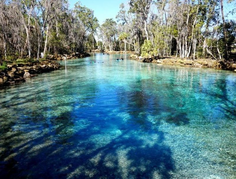 Kings Bay and Its Endless Springs Kings Bay and Its Endless Springs