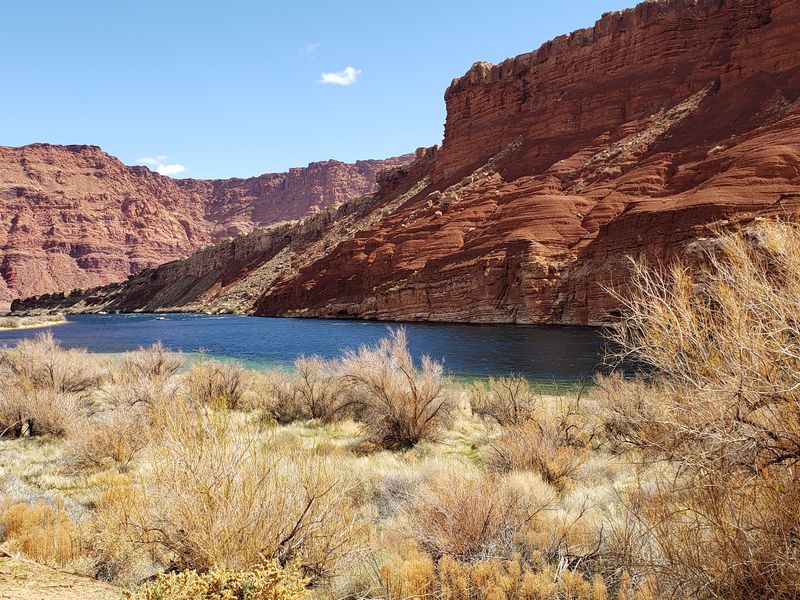 Lees Ferry Campground, Marble Canyon