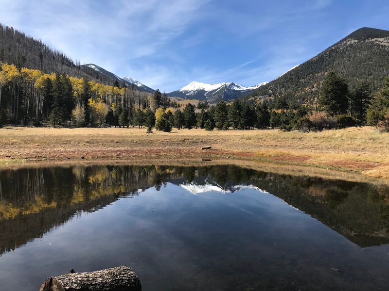 Lockett Meadow Campground, Flagstaff