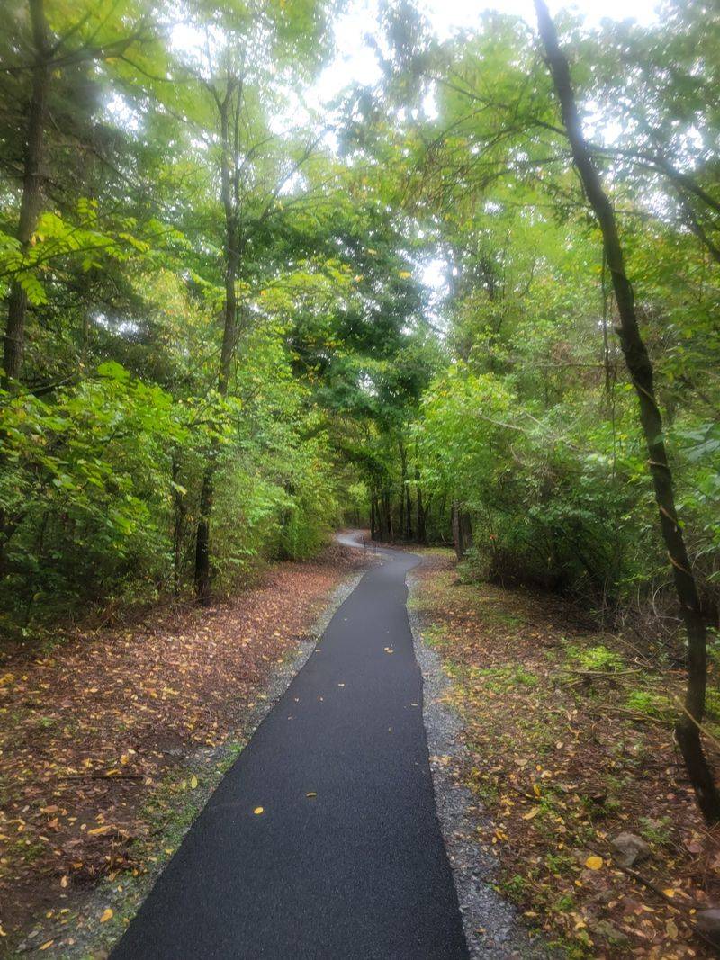 Loop trails that feel easy and inviting Loop trails that feel easy and inviting