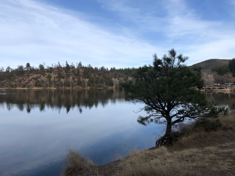 Lynx Lake, Prescott