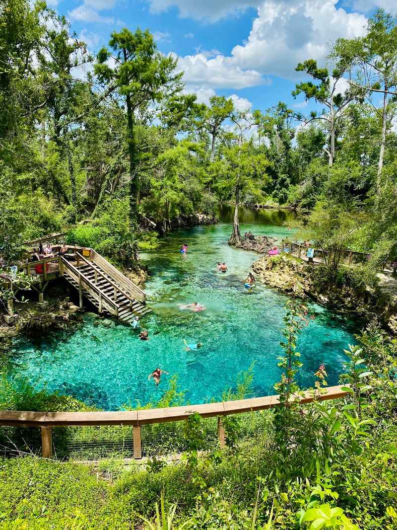 Madison Blue Spring, Lee, Florida