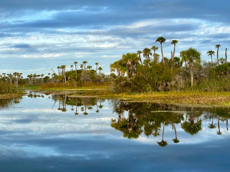 Man-Made Marsh That Feels Wonderfully Wild Man-Made Marsh That Feels Wonderfully Wild