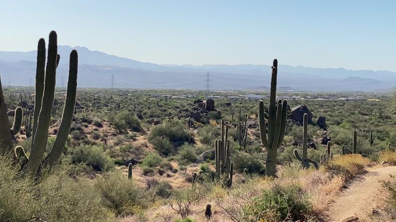 McDowell Sonoran Preserve, Scottsdale McDowell Sonoran Preserve, Scottsdale