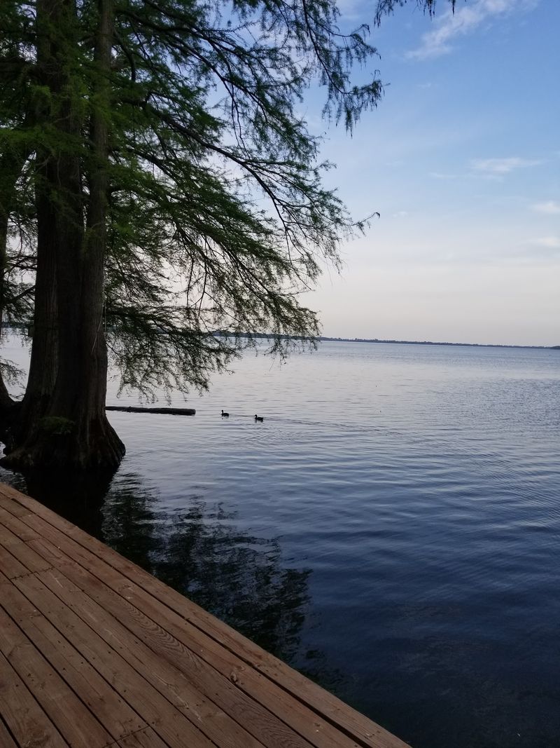 Meals With a View of the Water Meals With a View of the Water