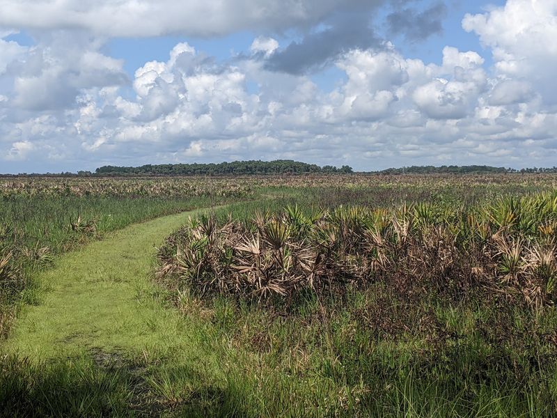 Miles of Trails Across Prairie and Hammock