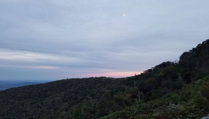 Moon-Gazing Under an Open Sky Moon-Gazing Under an Open Sky