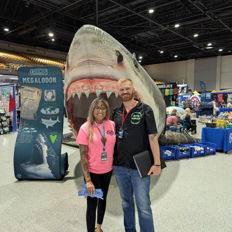 More than 150 vendors add a marketplace component