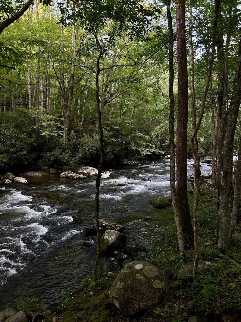 Mountain Views, Wildlife, And Firefly Season