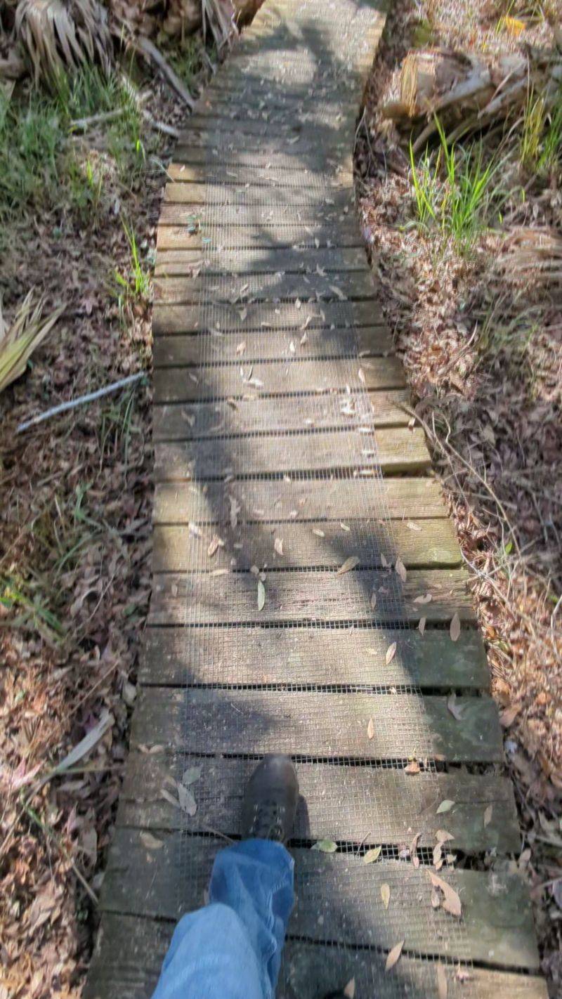 Mud, Puddles, and Trail Conditions