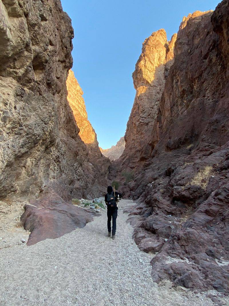 Navigating The Braided Trails