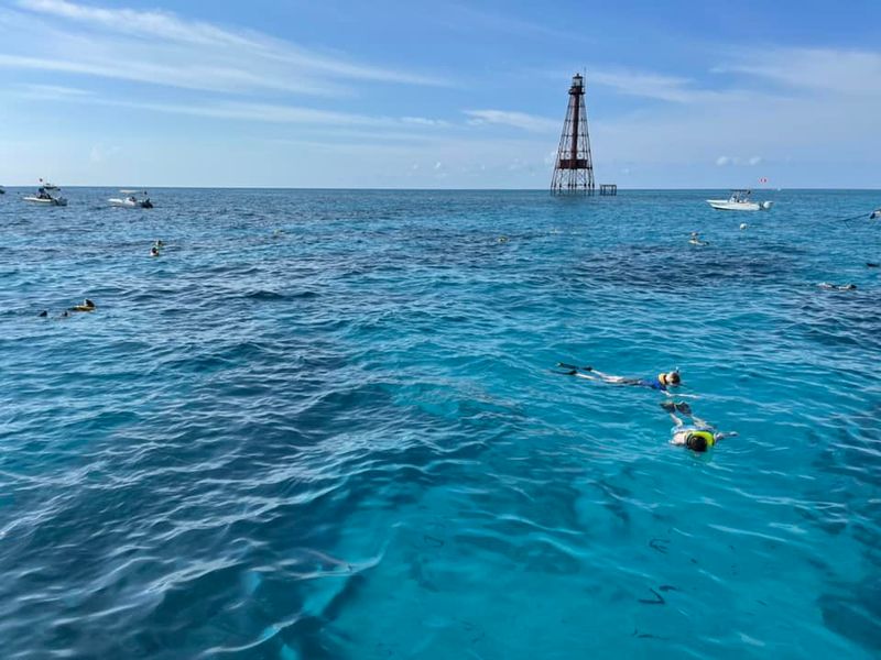 Nearshore water and offshore reef trips offer different views