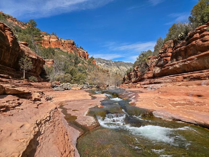 Oak Creek, Sedona (Slide Rock area)