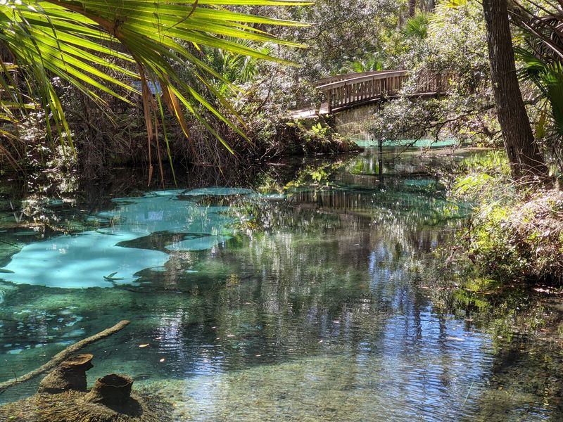 Ocala National Forest Sinkholes and Springs, Ocala Ocala National Forest Sinkholes and Springs, Ocala