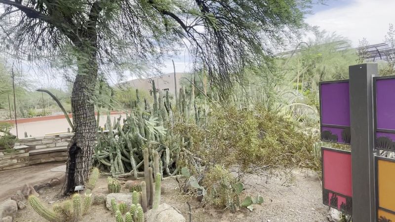 On-Site Dining And The Gift Shop