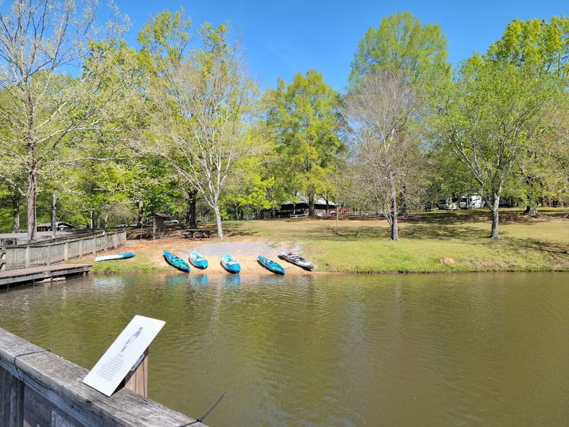 Paddle Boats And Kayaks Add Extra Fun Paddle Boats And Kayaks Add Extra Fun