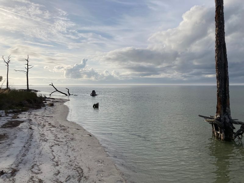 Paddling the Calm Sound Waters