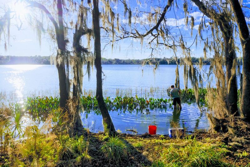 Pairing the Park With Charming Micanopy Pairing the Park With Charming Micanopy