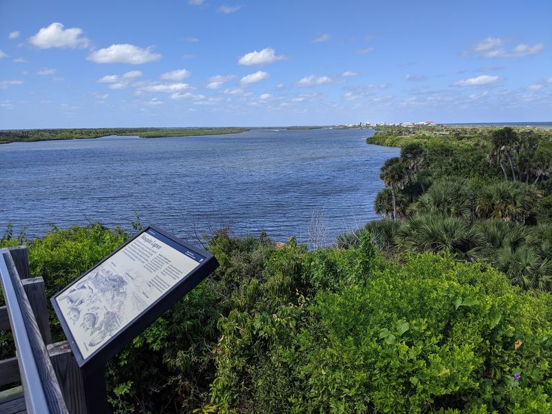 Part of the Wild Canaveral National Seashore