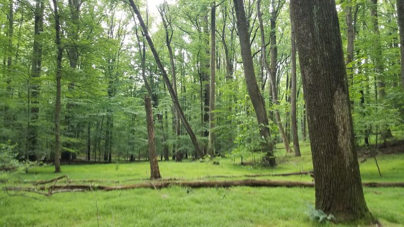 Peace And Quiet In Every Direction