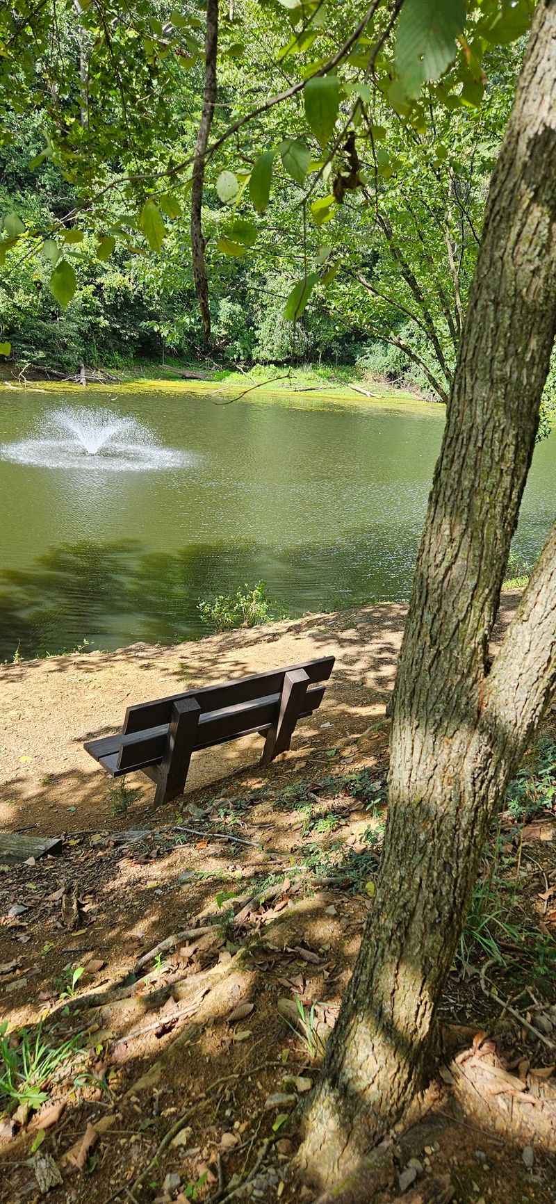 Peace and quiet are part of the appeal Peace and quiet are part of the appeal