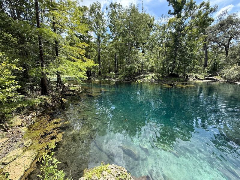 Peacock Springs (Wes Skiles Peacock Springs State Park), Luraville Peacock Springs (Wes Skiles Peacock Springs State Park), Luraville