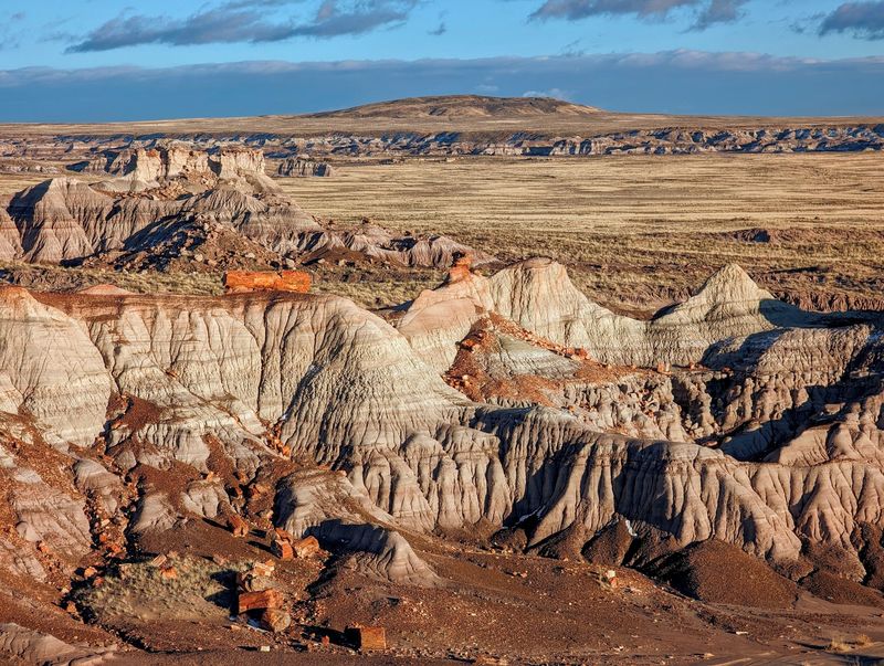 Petrified Forest National Park Petrified Forest National Park