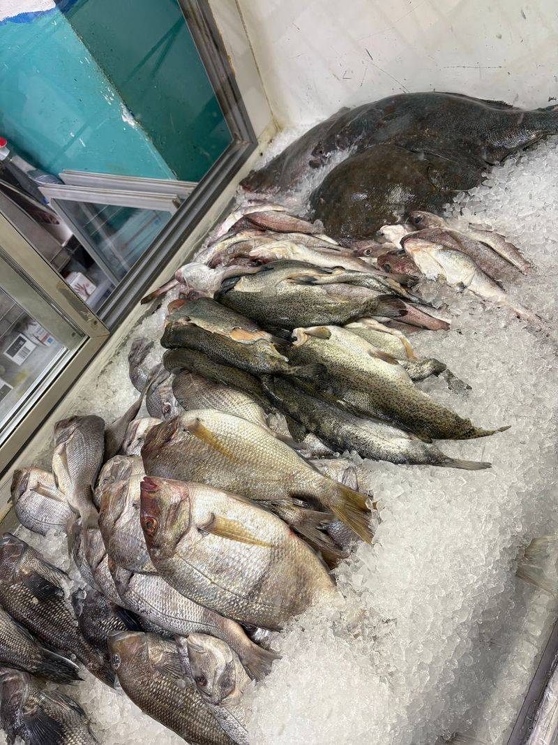 Pick Your Own Fish From the Case